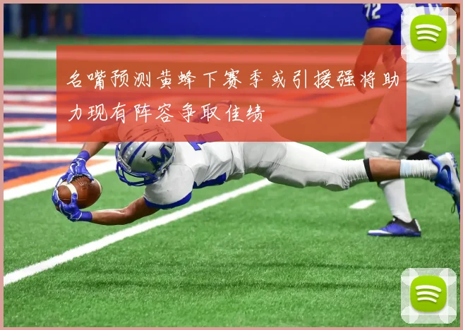 名嘴预测黄蜂下赛季或引援强将助力现有阵容争取佳绩
