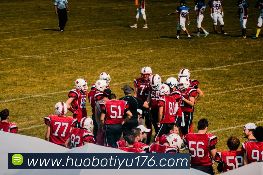 App Interface Preview